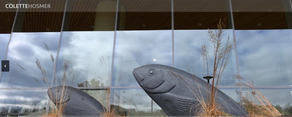 Stone fish sculptures by Colette Hosmer outdoors against a glass building